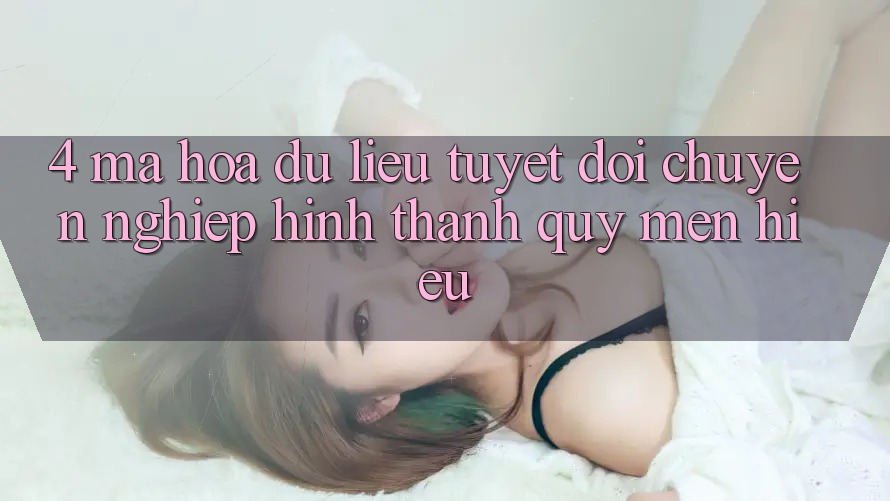 4. Mã hóa dữ liệu Tuyệt Đối – Chuyên nghiệp Hình thành Quý mến Hiệu