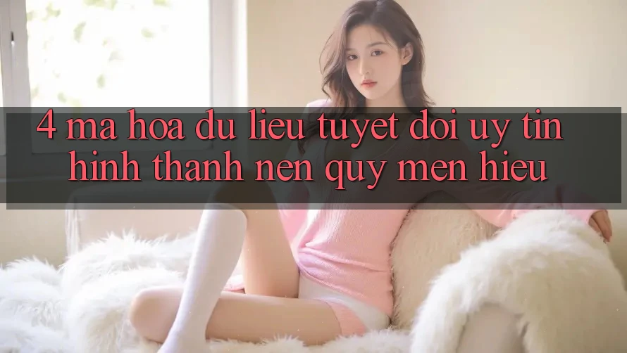 4. Mã hóa dữ liệu Tuyệt Đối – Uy Tín Hình thành Nên Quý mến Hiệu