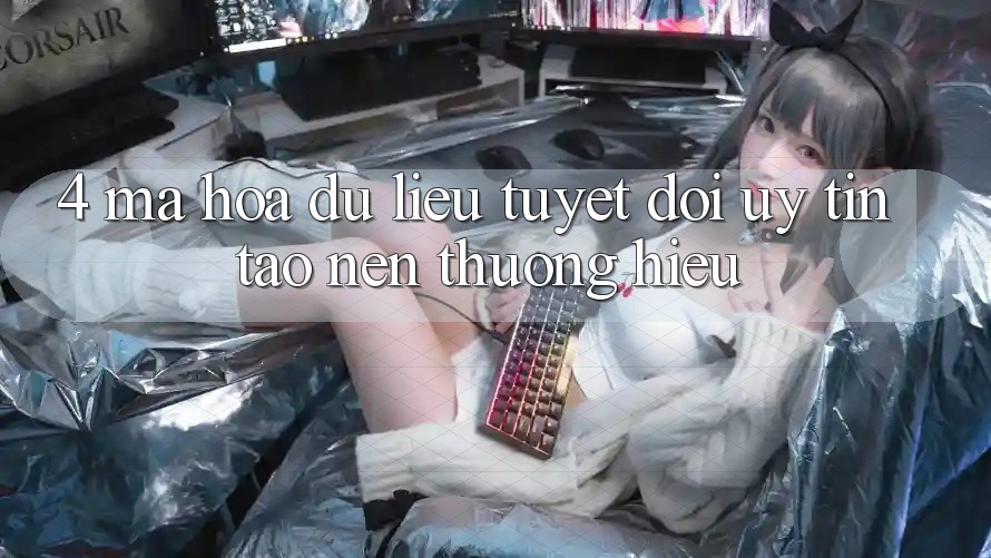 4. Mã hóa dữ liệu Tuyệt Đối – Uy Tín Tạo Nên Thương Hiệu