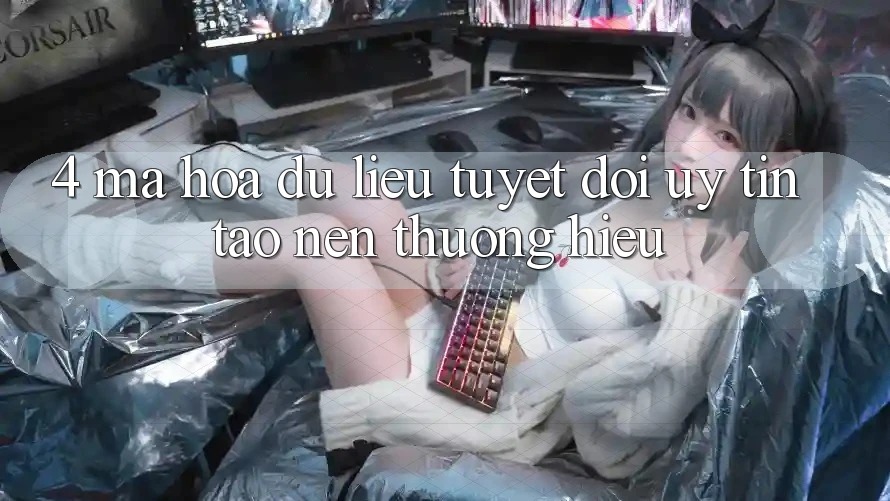 4. Mã hóa dữ liệu Tuyệt Đối – Uy Tín Tạo Nên Thương Hiệu